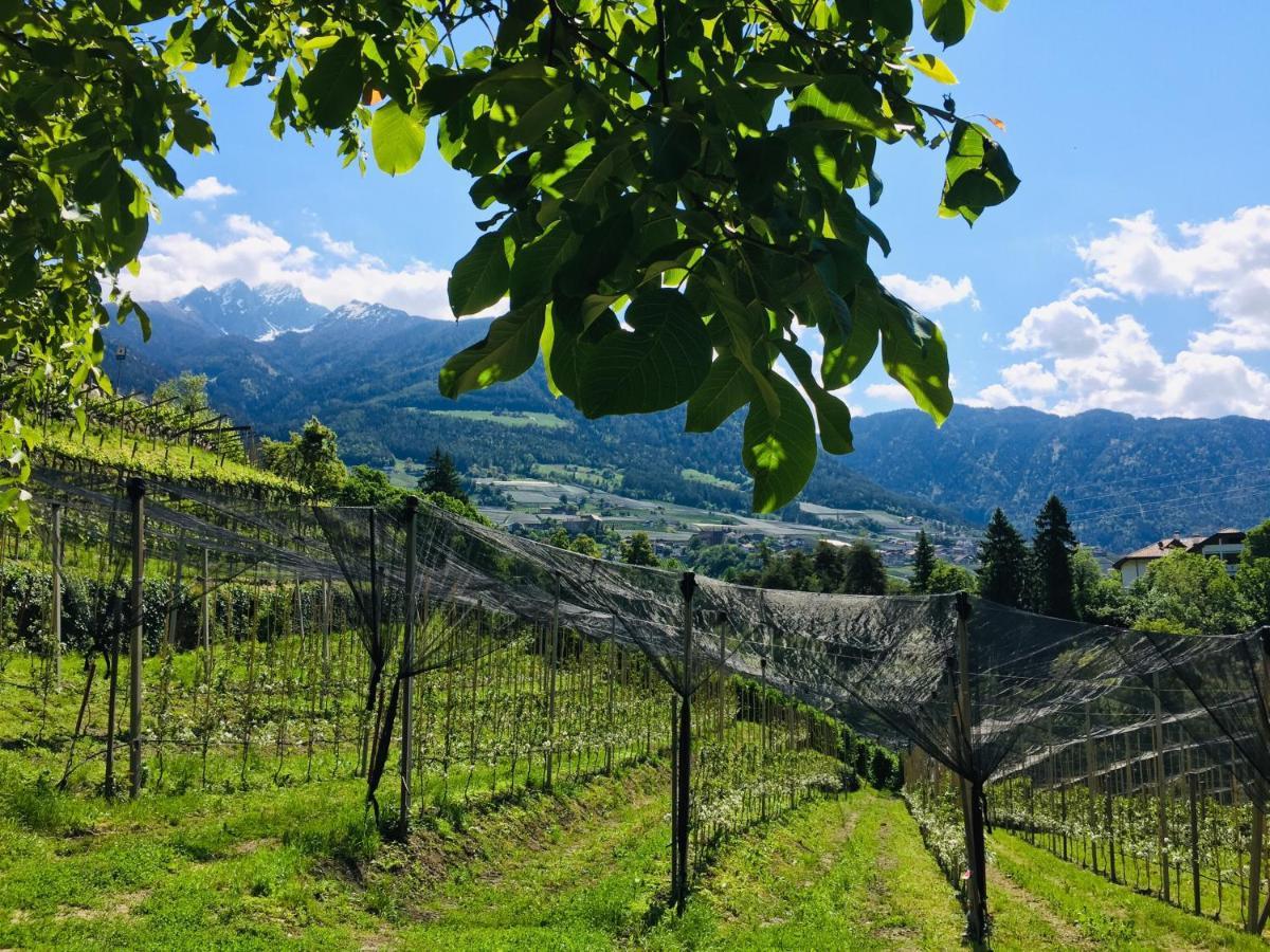 Tannerhof Bed & Breakfast Caines Exterior foto