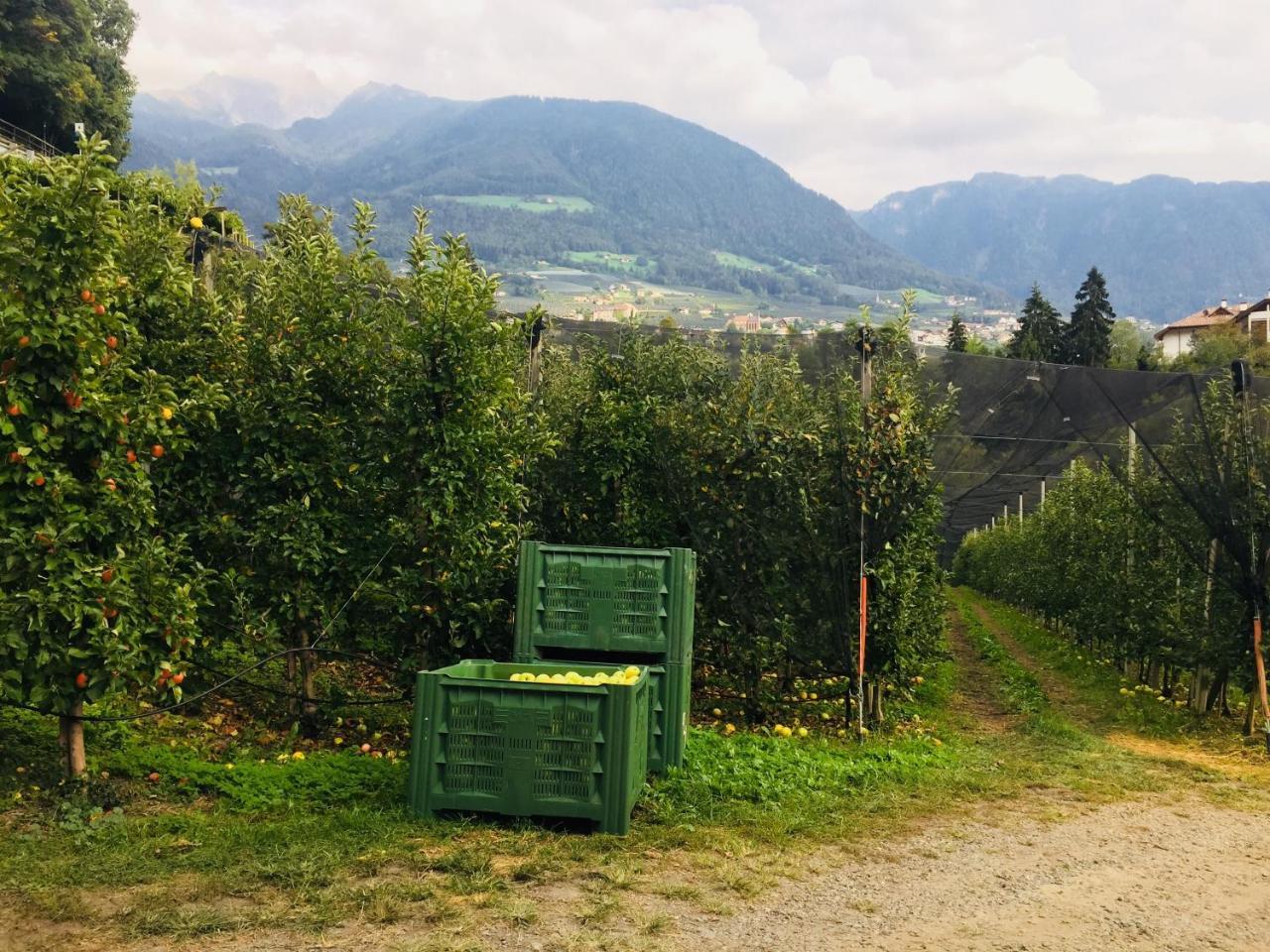Tannerhof Bed & Breakfast Caines Exterior foto